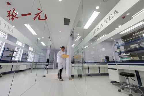 2024中國茶企品牌價值Top10風采展示 百年張一元榮登榜，現代琳龍物流展新篇